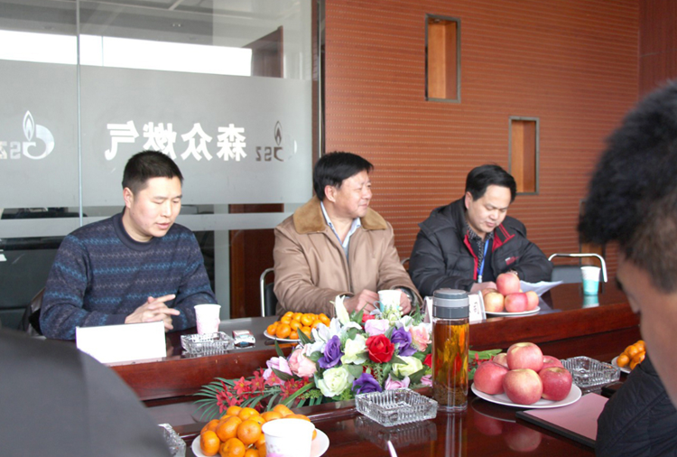 林口县政府与乐鱼手机在线官网-乐鱼(中国)燃气项目洽谈.png